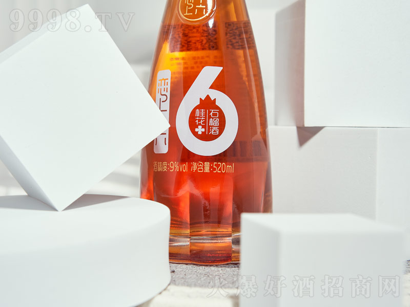 16ʯơ9520ml