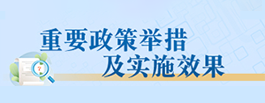 重要政策舉措及實(shí)施效果