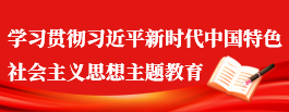學(xué)習(xí)貫徹習(xí)近平新時(shí)代中國特色社會(huì)主義思想主題教育