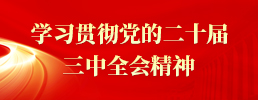 學(xué)習(xí)貫徹黨的二十屆三中全會(huì)精神