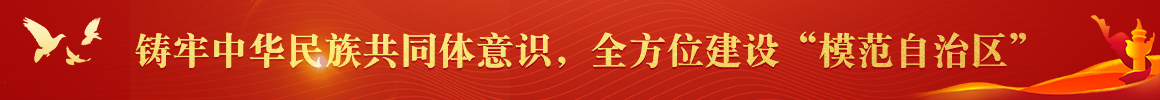 鑄牢中華民族共同體意識(shí)，全方位建設(shè)“模范自治區(qū)”